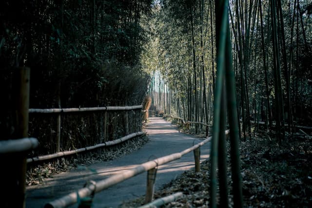 Wonders of Japan With Hiroshima Visit